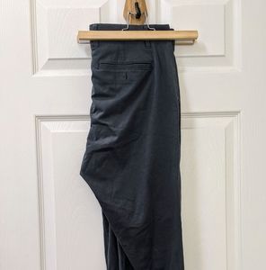 Everlane 32x30 gray teal chinos